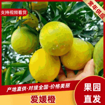 【实力推荐】云南爱媛橙大量上市中产地直发可以视频看货