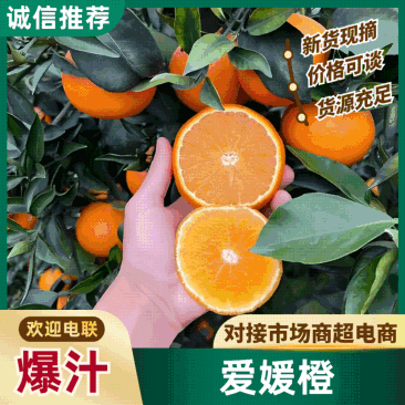 【产地推荐】云南爱媛橙大量现货供应产地直发品质保证