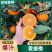 【产地推荐】云南爱媛橙大量现货供应产地直发品质保证