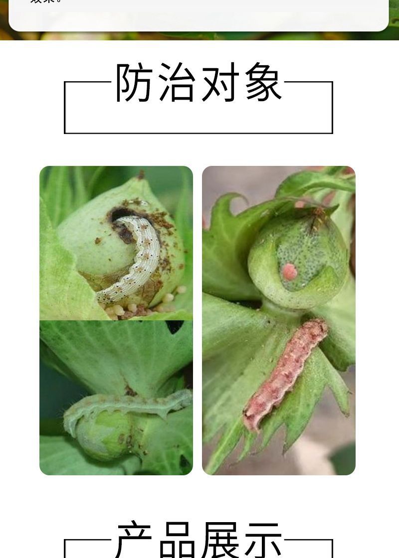 10%高效氯氟氰菊酯杀虫剂蚜虫食心虫菜青虫潜叶蛾飞虱等