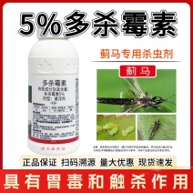 诺顿5%多杀霉素杀虫剂农药节瓜蓟马小菜蛾菜青虫钻心虫跳甲