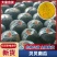 贝贝南瓜粉糯香甜，代购代发，保质保量，诚信经营，订单回购