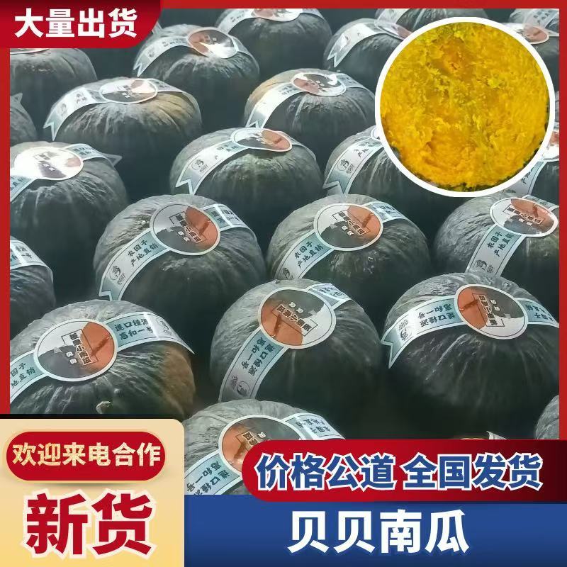贝贝南瓜粉糯香甜，代购代发，保质保量，诚信经营，订单回购