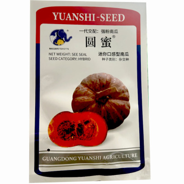 圆蜜迷你口感型南瓜种子早熟强粉南瓜肉厚心室小基地南瓜