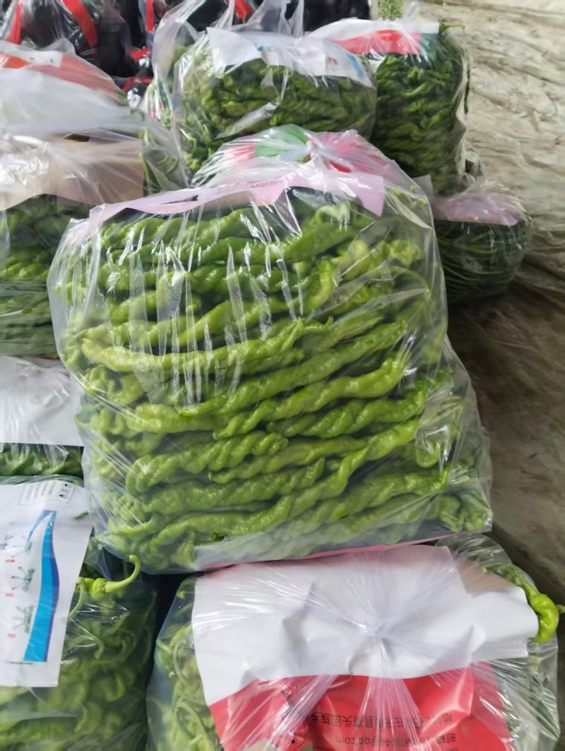 山东鲜辣椒螺丝椒，品类齐全大量现货供应，发电商市场批发商