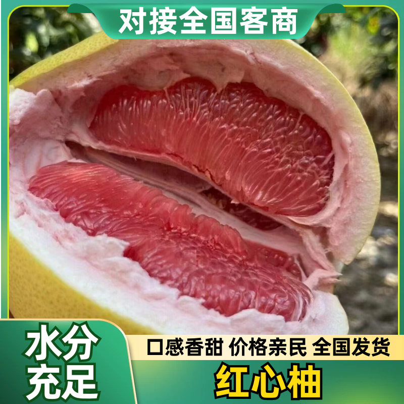 福建柚子/琯溪蜜柚/红心柚/三红柚/白柚（品种齐全欢迎