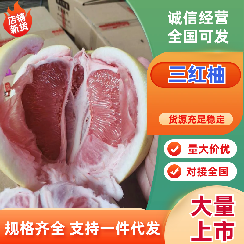 福建平和三红柚，老树精品皮薄肉厚，多汁，可代办，整车批发
