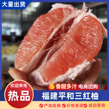 福建平和三红柚，红柚，白柚，果园直供，代办批发，质量保证