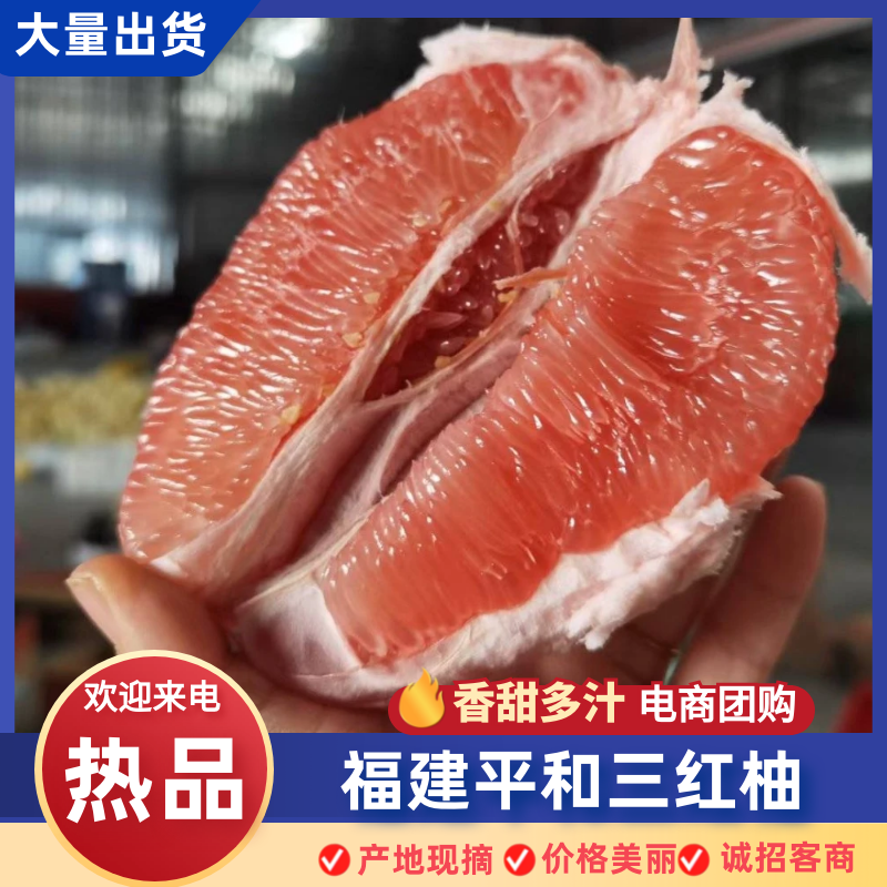 福建平和三红柚，红柚，白柚，果园直供，代办批发，质量保证