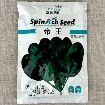 帝王菠菜种子耐寒耐热抗病大圆叶耐抽苔大田基地品种