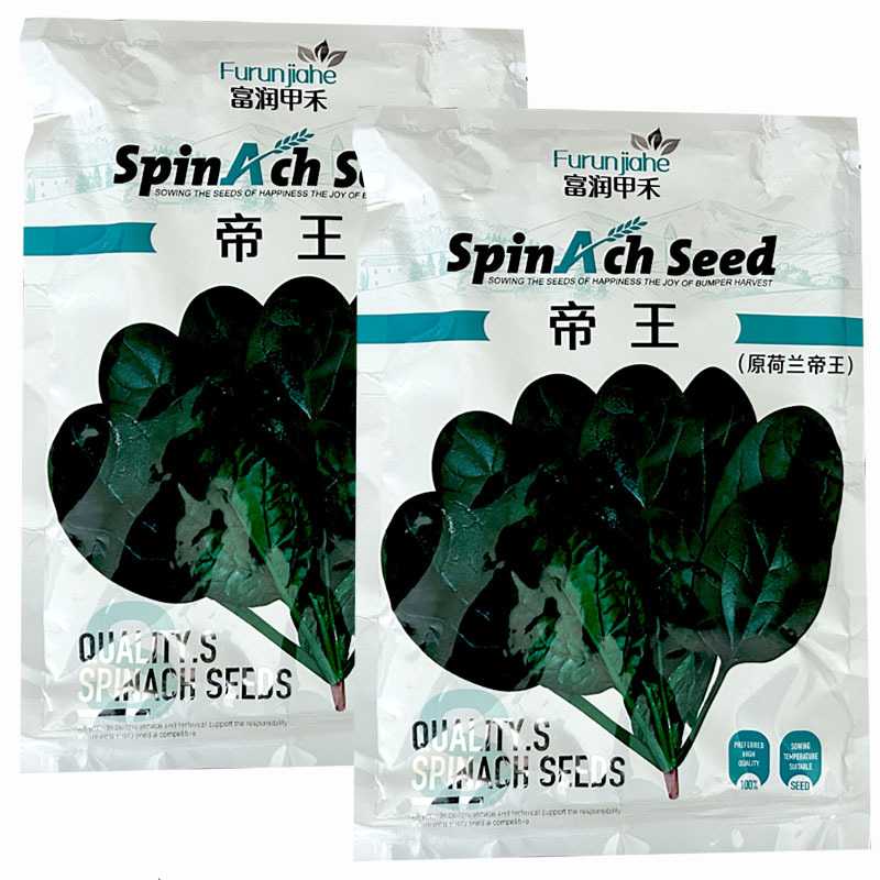 帝王菠菜种子耐寒耐热抗病大圆叶耐抽苔大田基地品种