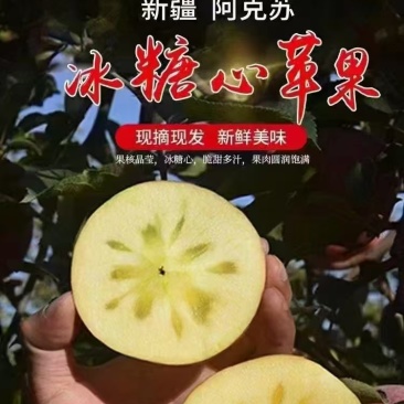 冰糖心苹果，全国发货，对接批发商，欢迎合作，量大可议价