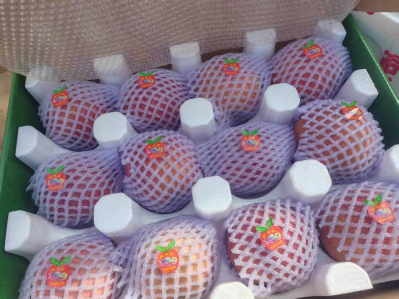 阿克苏苹果，全国发货，对接批发商，欢迎合作，量大可议价