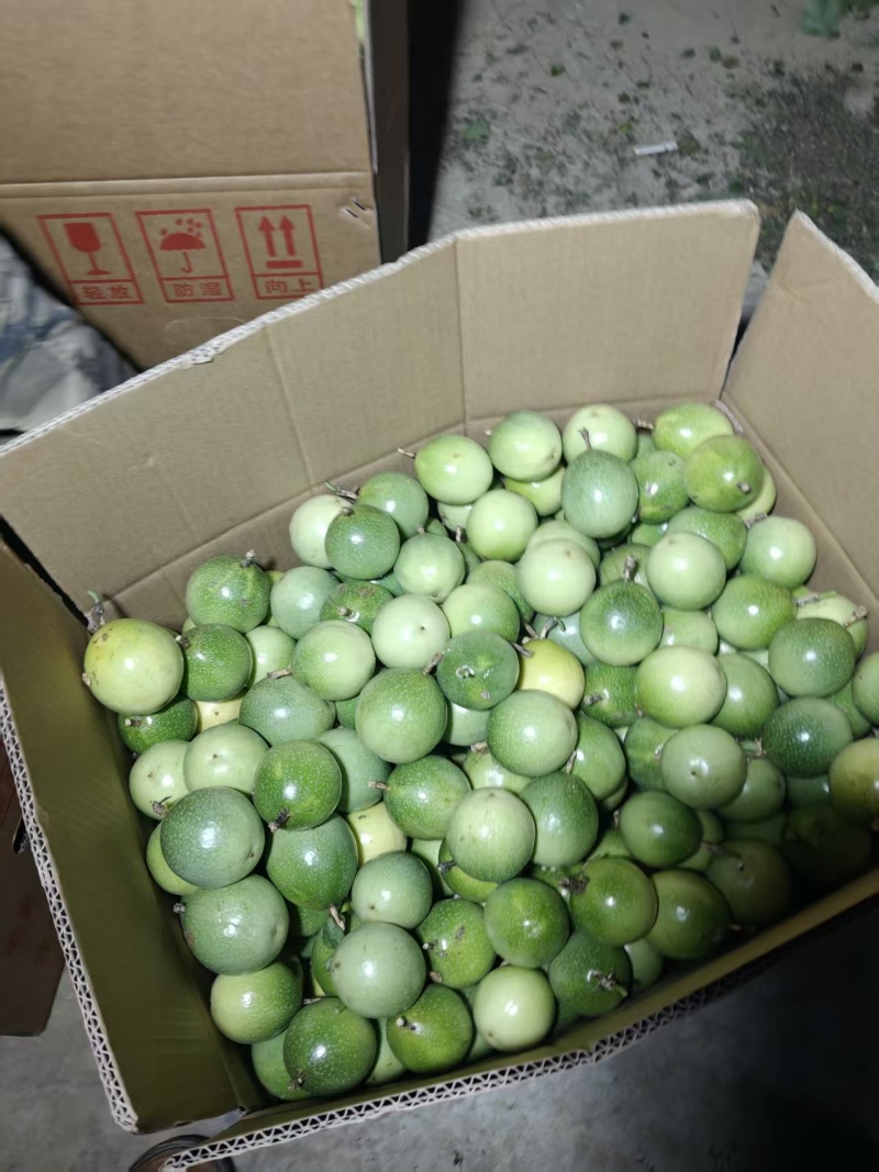 云南百香果钦蜜9号基地直供质量保证一手货源对接商超