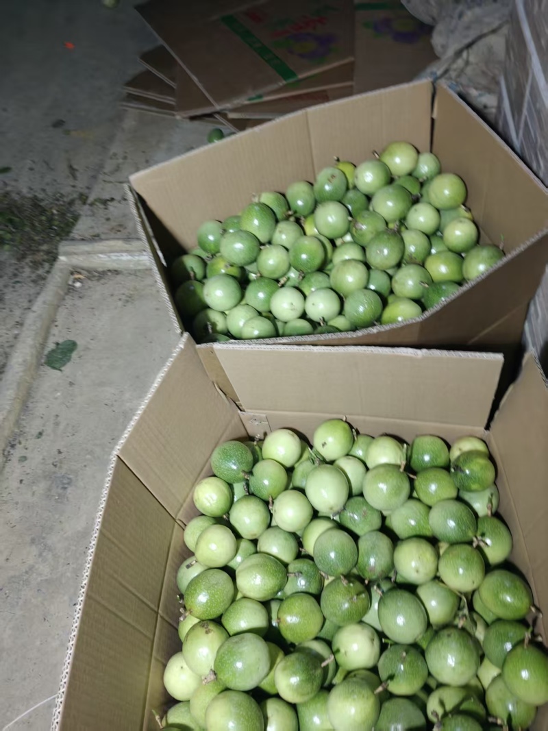 云南百香果钦蜜9号基地直供质量保证一手货源对接商超