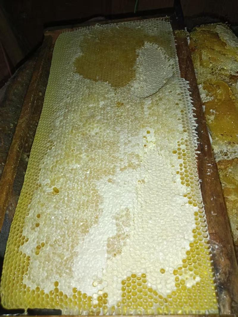土蜂蜜，诚信经营，可发全国，可批发零售，欢迎联系