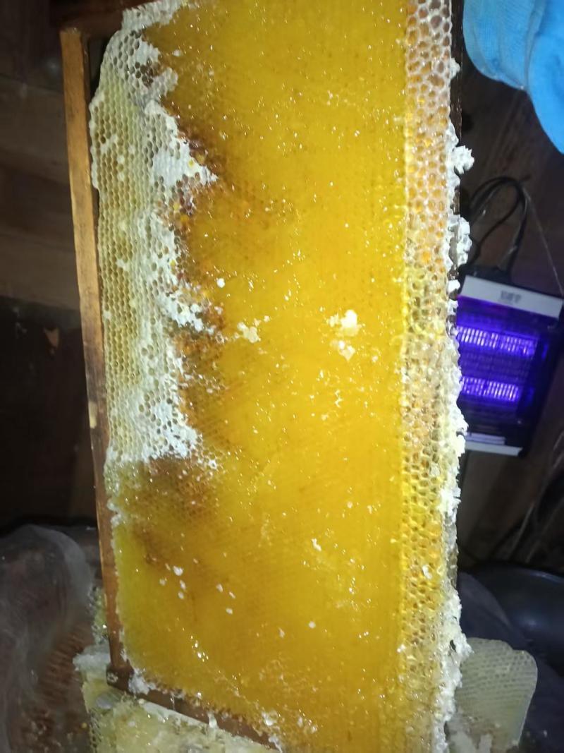 土蜂蜜，诚信经营，可发全国，可批发零售，欢迎联系