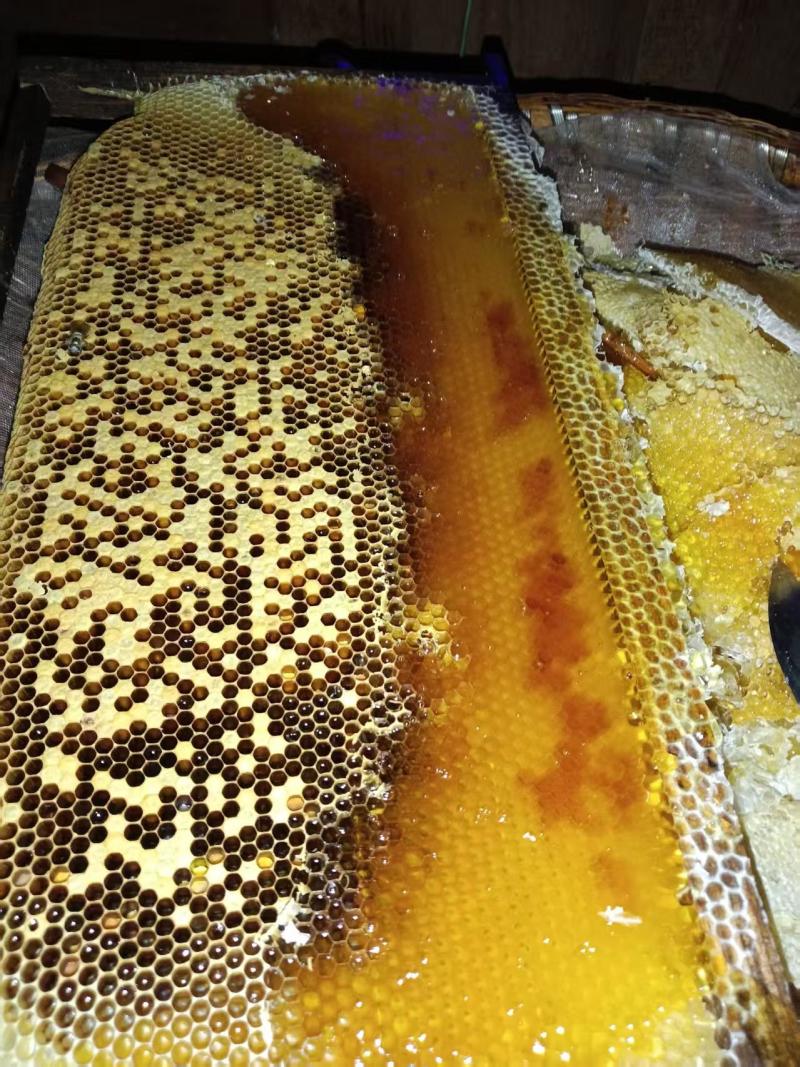 土蜂蜜，诚信经营，可发全国，可批发零售，欢迎联系