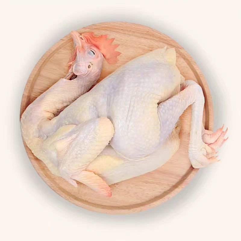 云南白条鸡/220-260天青年蛋鸡/存货9.5吨/量大价优