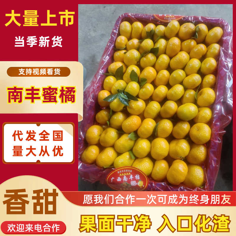 《广西蜜橘》桂林南丰蜜橘/电商团购一件代发清甜化渣便宜