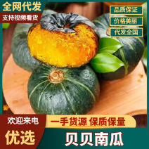 贝贝南瓜全网一件代发，对接各大商超电商支持全国代发货。