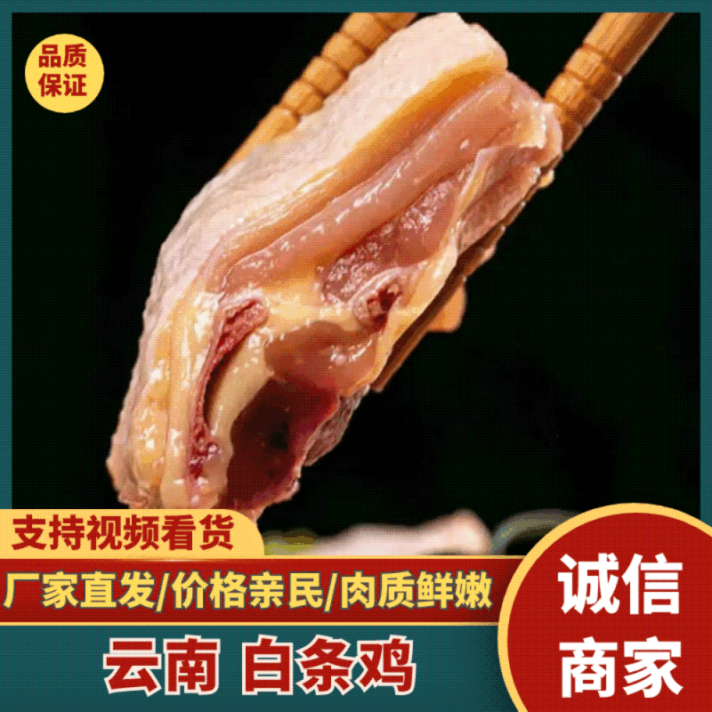 云南精品/白条鸡/生态土鸡/量大价优/可视频看货