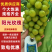陕西阳光玫瑰葡萄一手货源品质好诚信经营货发全国