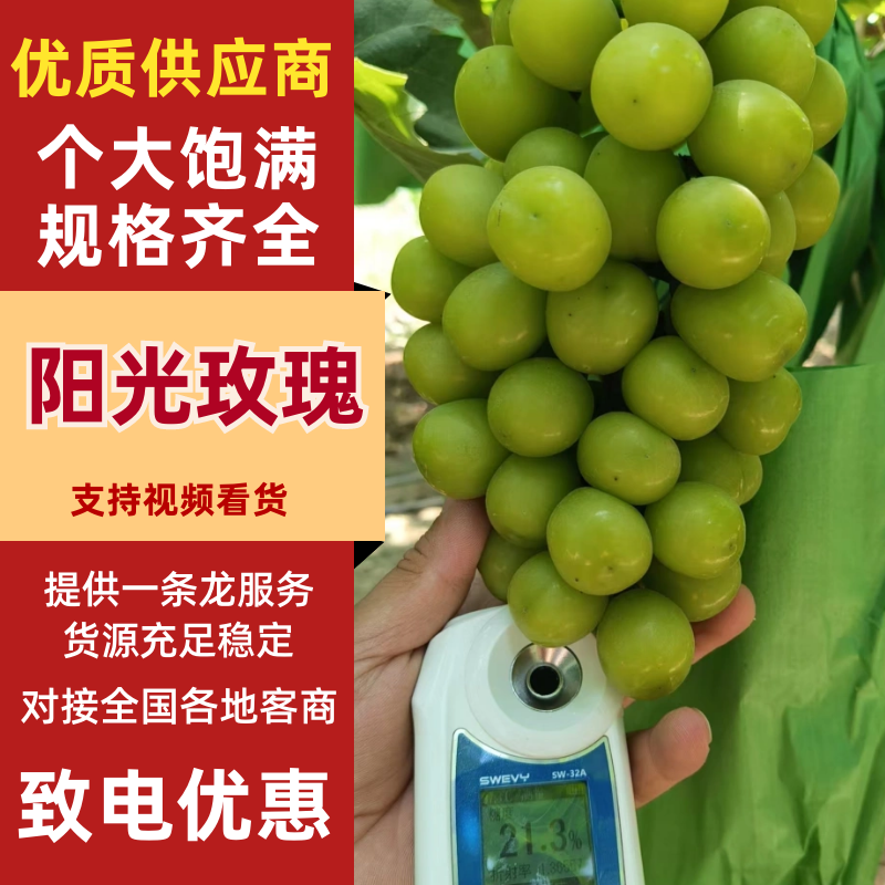 陕西阳光玫瑰葡萄一手货源品质好诚信经营货发全国