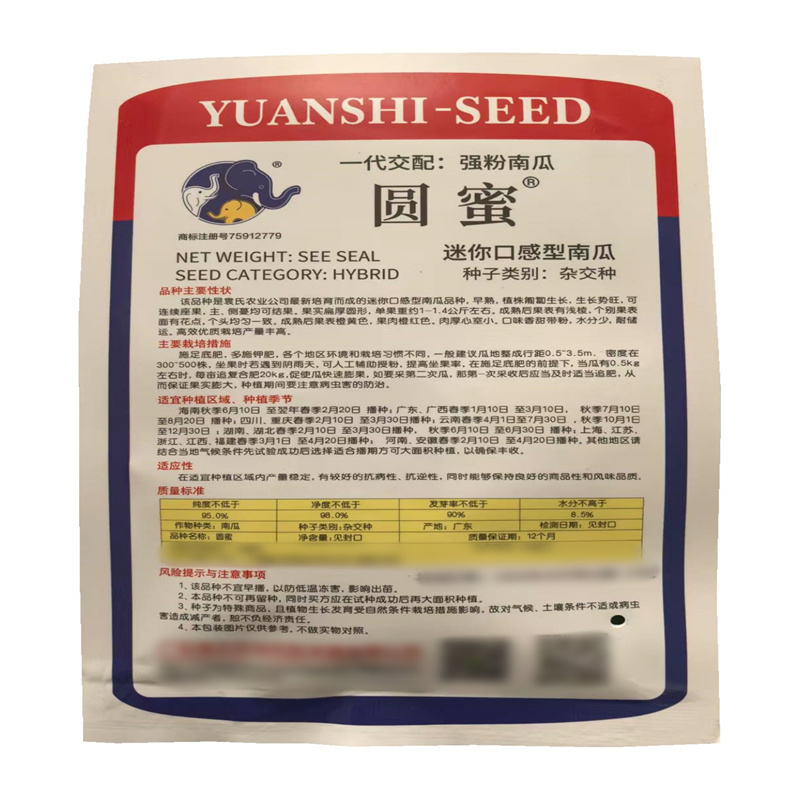 圆蜜南瓜种子迷你口感型南瓜种子高产基地小南瓜