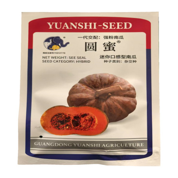 圆蜜南瓜种子迷你口感型南瓜种子高产基地小南瓜