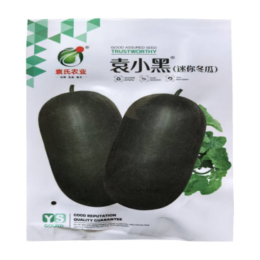袁小黑迷你冬瓜种子早熟口感小冬瓜种子高产基地新种子