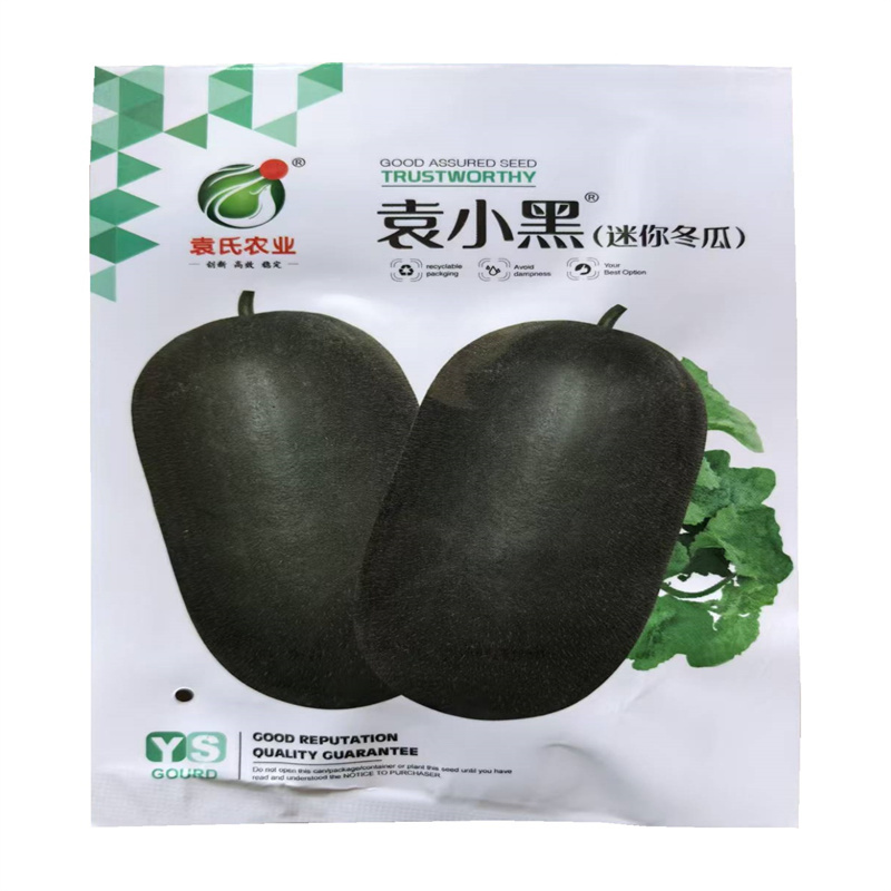 袁小黑迷你冬瓜种子早熟口感小冬瓜种子高产基地新种子
