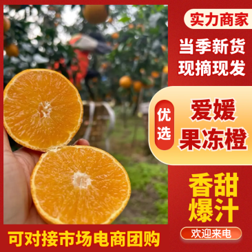 🅰爱媛38号爱媛果冻橙现摘现发按需包装视频看货