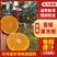 🅰爱媛38号爱媛果冻橙现摘现发按需包装视频看货