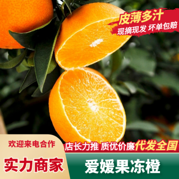 🅰爱媛橙四川爱媛果冻橙产地直发对接电商坏果包赔