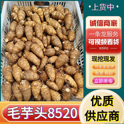中牟～毛芋头8520（现挖现发坏烂包赔）可常年供应