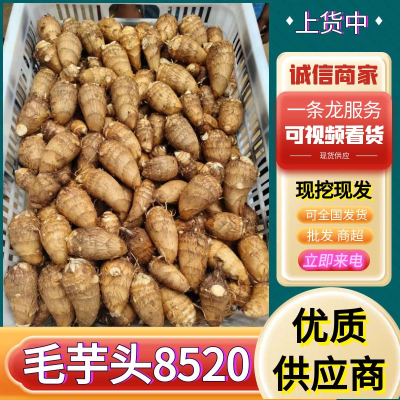 湖南～毛芋头8520（现挖现发坏烂包赔）可常年供应
