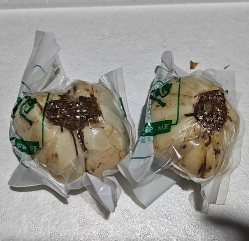 百合鲜百合甘肃产区直发保质保量供货批发零售