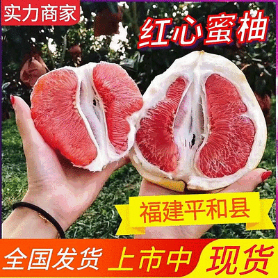 【平和蜜柚/红心柚】产地现摘/皮薄肉厚/对接批发商超电商