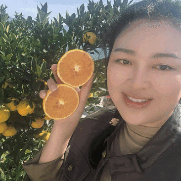 【爱媛果冻橙】四川橙子/产地现货/现摘现发/可全国发货