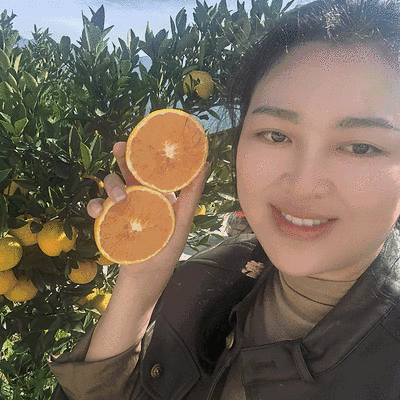 【爱媛果冻橙】四川橙子/产地现货/现摘现发/可全国发货