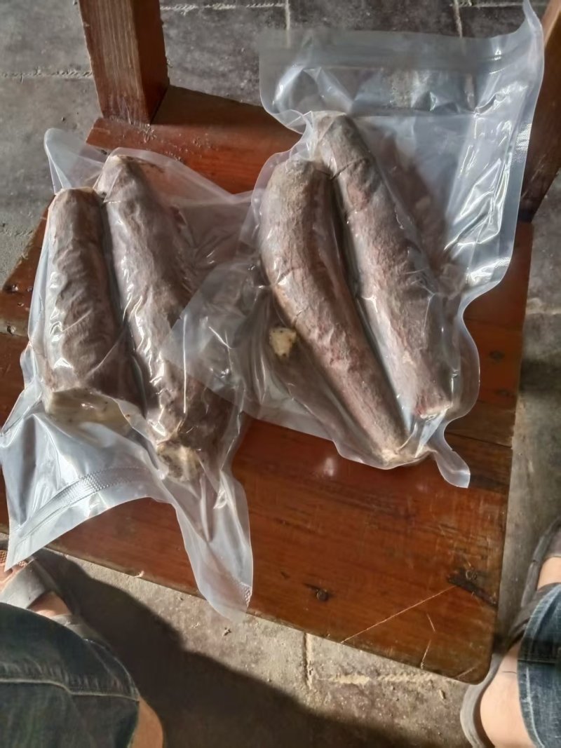 广东江门大量供应黄肉木薯产地直发规格齐全