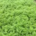 茴香河北唐山乐亭茴香产地一手货源品质保障对接全国