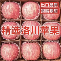 《陕西苹果》洛川苹果/红富士苹果/电商团购一件代发便宜