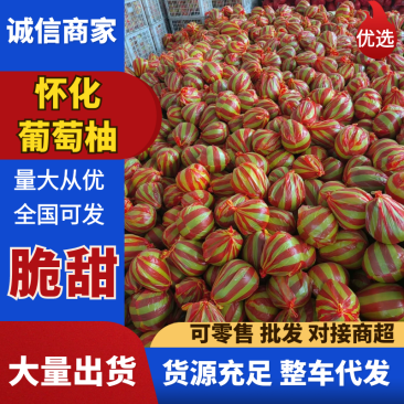 湖南冰糖柚子大量上市中，一手货源视频看货欢迎致电
