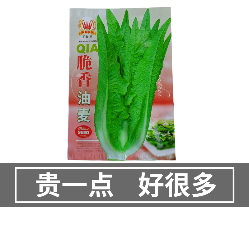 优选脆香油麦菜种子阳台盆栽庭院四季蔬菜种籽农家小院播