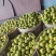 绥中精品细皮细肉花梨盖/量大价优/欢迎咨询