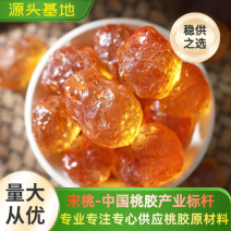 桃胶源头自产自销人工360°精修剪超大珍珠颗粒无杂质桃胶