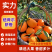 纽荷尔脐橙湖北脐橙果园直供量大从优欢迎来电咨询