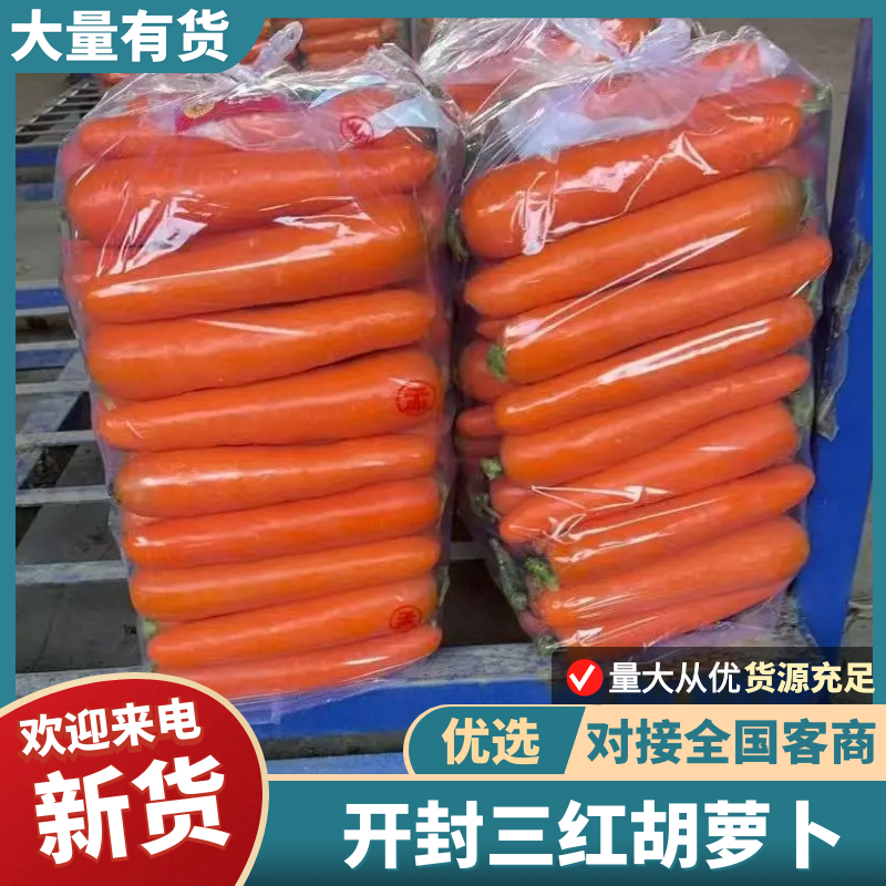 开封三红胡萝卜【胡萝卜】精品，水洗，土货诚信经营